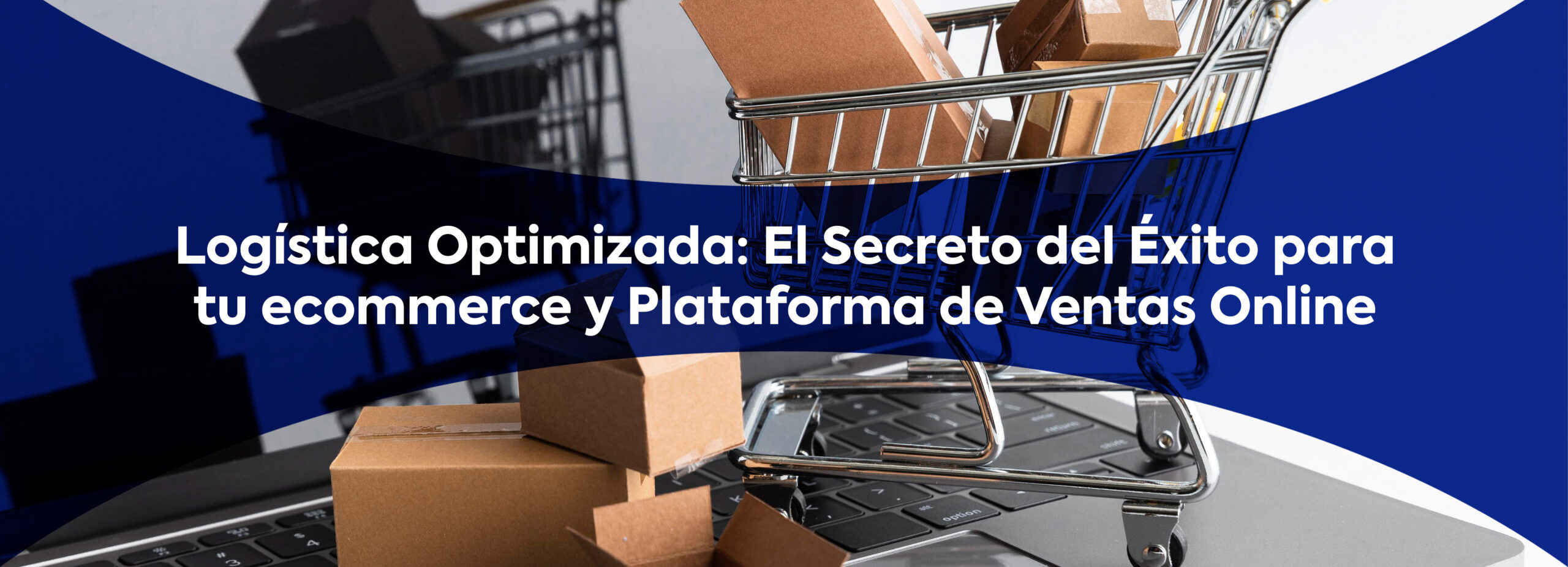 Logística Optimizada: El secreto del éxito de tu plataforma ecommerce